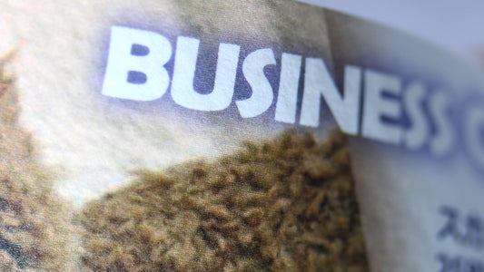 スカッチホワイト / 258kg(300g/㎡)