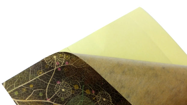 クラフト/49kg 四角角丸(ラウンド)