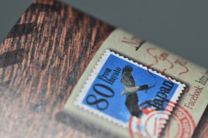 マシュマロ(厚紙) / 301kg (350g/㎡)