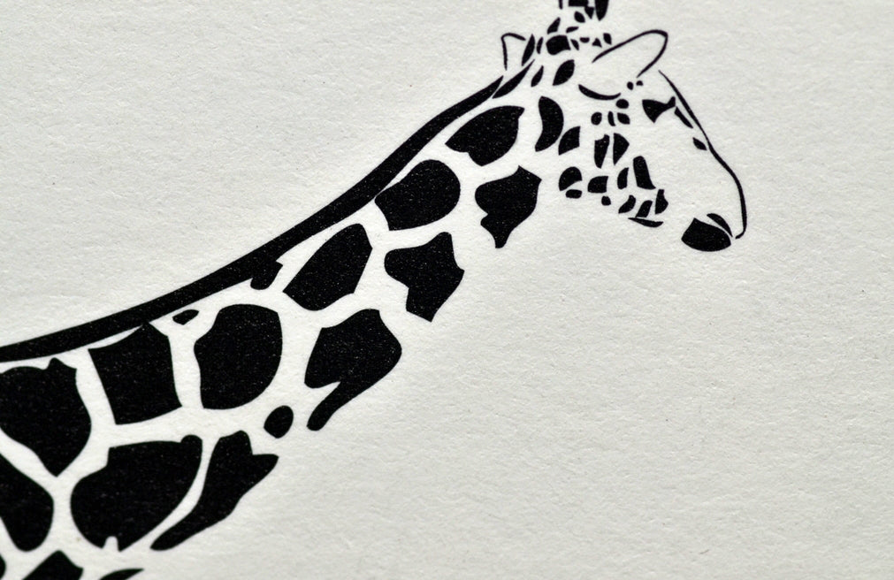 ヌーボ(厚紙) / 301kg (350g/㎡)