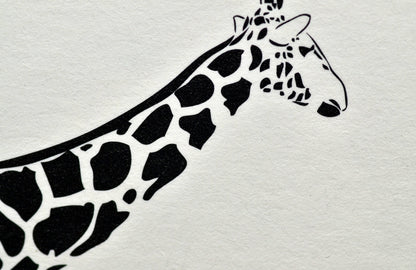 ヌーボ(厚紙) / 301kg (350g/㎡)