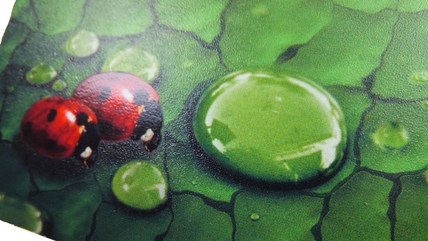 ロイヤルホワイト(部分コート) / 215kg (250g/㎡)