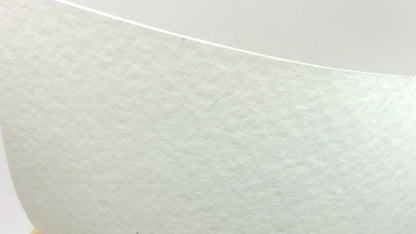 スカッチホワイト / 258kg(300g/㎡)